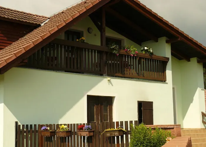 U Procházků Apartmán *